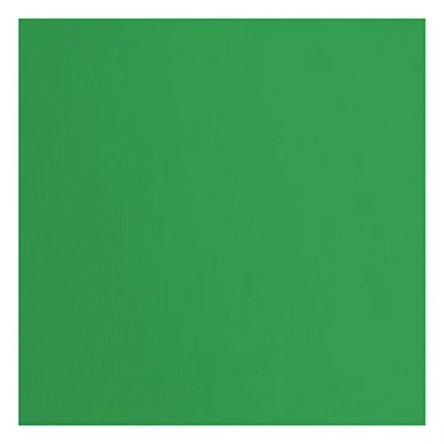 Immagine di Cartoncino Florence Testurizzata Materiali per Biglietti colorati 30,5 x cm Holly 20 Fogli Carta Scrapbooking, Biglietti, Fustellatura e Progetti con 216 gsm Verde