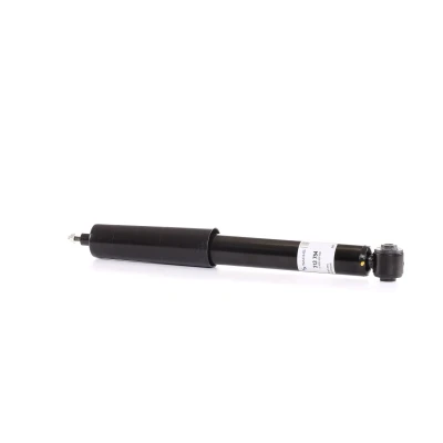 Immagine di SACHS 313 754 Ammortizzatore A pressione del gas doppio tubo telescopico Spina superiore, Occhiello inferiore FORD: Galaxy Mk2 MPV