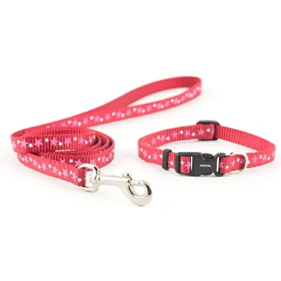 Immagine di Ancol Stars Coll Piccolo morso &amp; Piombo Set