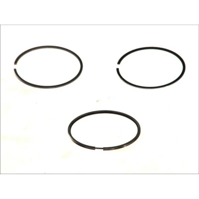 Immagine di MAHLE ORIGINAL 629 20 V0 Kit Fasce Elastiche 79,0 OPEL: Meriva A, Corsa C Hatchback, Astra H Caravan, VAUXHALL: Mk5, HONDA: CIVIC 7 Hatchback