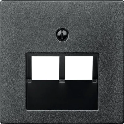Immagine di Merten 298014, Piastra centrale per inserti UAE, 2 moduli, antracite, System M