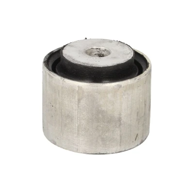 Immagine di DELPHI TD1011W Supporto Assale