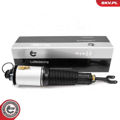 Immagine di Gamba elastica con ammortiz. pneumatico ESEN SKV 58SKV700