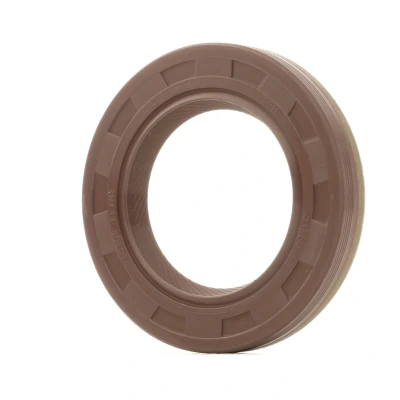 Immagine di REINZ 81 25516 10 Paraolio Albero Motore FPM (Fluoro Caucciù) OPEL: Zafira A, Astra H GTC, B, CHEVROLET: Epica Sedan, Captiva