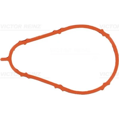Immagine di REINZ 71 34208 00 Guarnizione Collettore Aspirazione AUDI: A4 B7 Avant, B6 B5 VOLKSWAGEN: Passat GP Variant, Sedan