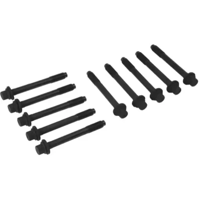 Immagine di REINZ 14 55075 01 Kit Bulloni Testata Multidentata esterna