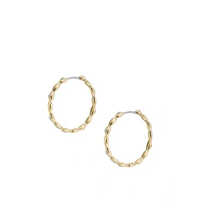 Immagine di Fossil Sutton Orecchini, Donna, Taglia: One Size, Gold