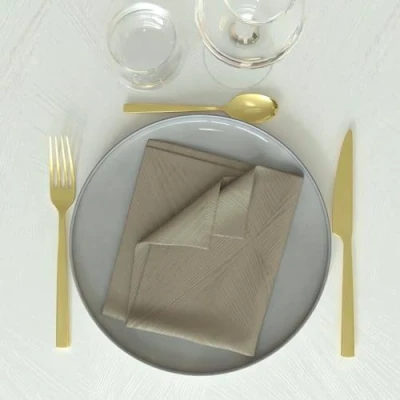Immagine di Soleil d&#039;ocre Luxury Set di 3 Tovaglioli, Beige (Champagne), 45 x cm