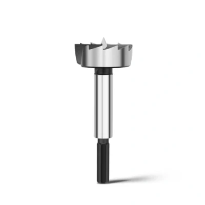 Immagine di Forstner, punta da 41 mm, per legno, punte diametro lunghezza 90 mm con codolo esagonale 8