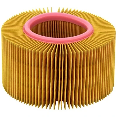 Immagine di MANN FILTER C 1552/1 Filtro Aria