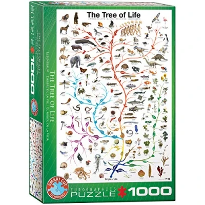 Immagine di EuroGraphics Puzzle, Multicolore, 6000 0282