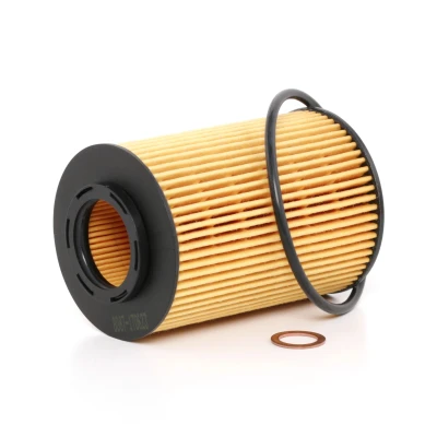 Immagine di BOSCH F 026 407 061 filtro olio con guarnizioni Cartuccia KIA: CARENS 2, cee‘d I Hatchback, Sportage II, HYUNDAI: Tucson, SANTA FE 2