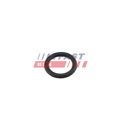 Immagine di FAST FT49419 Guarnizione Collettore Aspirazione CITROËN: C2 Hatchback, C4 Picasso 1, C3 I FORD: Focus 2, FIESTA 5, 2 Kombi