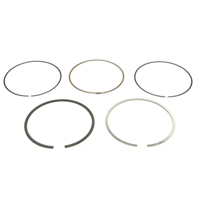 Immagine di GOETZE ENGINE 08 445600 00 Kit Fasce Elastiche 87