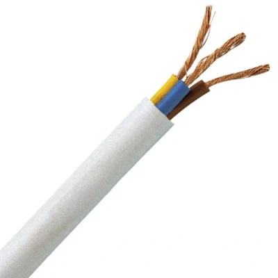 Immagine di Kopp 151705847 Tubo flessibile H05 VV F 3G, 1 mm², 5 m, bianco