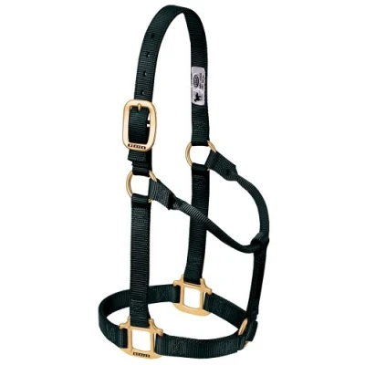 Immagine di Weaver Leather Cavezza per cavallo in nylon non regolabile originale, colore nero, svezzamento/pony