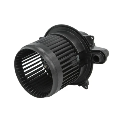 Immagine di Soffiante interna THERMOTEC DDR025TT