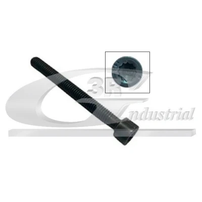 Immagine di 3RG 99703 Bullone, Supporto iniettore VOLKSWAGEN: Touareg I, Multivan 5 (7HM