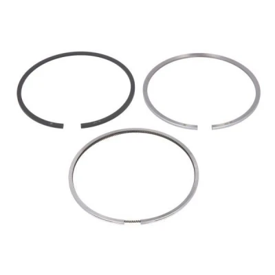 Immagine di ENGITECH ENT047003 STD Kit Fasce Elastiche