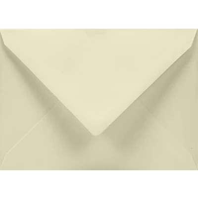 Immagine di Netuno 100 buste da lettera avorio formato C5 162x229 mm 120g Aster Smooth Ivory lettere per partecipazioni matrimonio inviti battesimo feste di compleanno fidanzamento