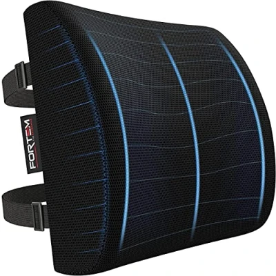 Immagine di FORTEM Cuscino Lombare Sedia Ufficio, Auto, Supporto Schiena Gaming, Ergonomico, in Memory Foam, per da Scrivania, Fodera Traspirante e Lavabile