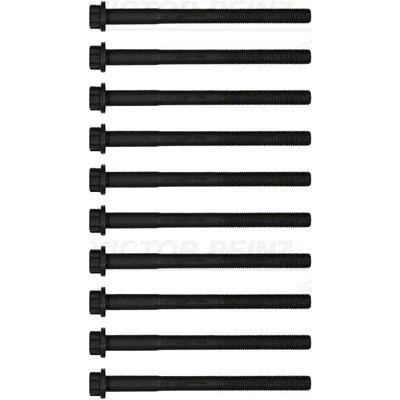 Immagine di REINZ 14 11664 01 Kit Bulloni Testata Multidentata esterna