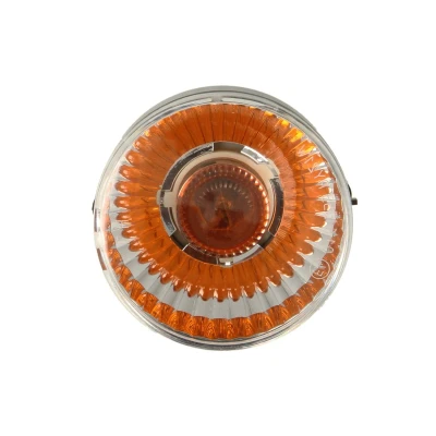 Immagine di DT Spare Parts 2.24566 Frecce anteriore Dx con lampadina PY21W 24