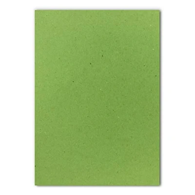 Immagine di FarbenFroh by GUSTAV NEUSER 50 fogli formato DIN A5, 120 g, 14,8 x 21 cm, colore: Verde chiaro