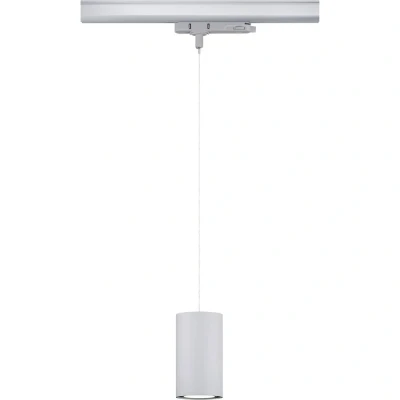 Immagine di Paulmann Kratos 96609 Lampada LED a sospensione (monocolore) 18.5 W Argento