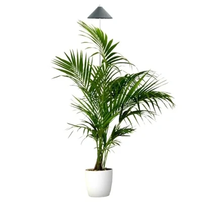 Immagine di Parus by Venso SUNLiTE piantana XL 25W bianca, lampada a LED per la crescita con asta telescopica, luce piante da interno e verdi