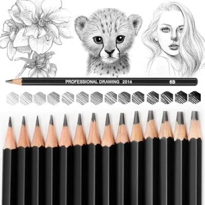 Immagine di Blendura 14 Matite da Disegno Professionali per Schizzi Set 12B, 10B, 8B, 7B, 6B, 5B, 4B, 3B, 2B, B, HB, 2H, 4H, 6H