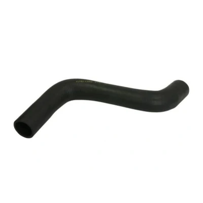 Immagine di THERMOTEC DWG176TT Tubo Radiatore inferiore FORD: FIESTA 5, Fusion Station Wagon