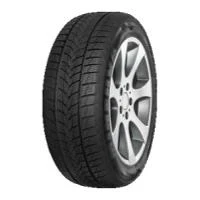 Immagine di Minerva Frostrack Uhp 255/30 R19 91V XL