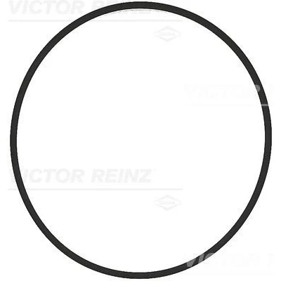 Immagine di REINZ 71 17376 00 Guarnizione Collettore Aspirazione FPM (Fluoro Caucciù)