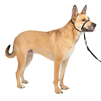 Immagine di PetSafe Collare a cavezza Easy Walk per cani di taglia media (M), comoda, anti trazione, con guinzaglio in nylon (incluso) Nero