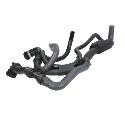 Immagine di SASIC 3404200 Tubo Radiatore RENAULT: LAGUNA 3 Grandtour