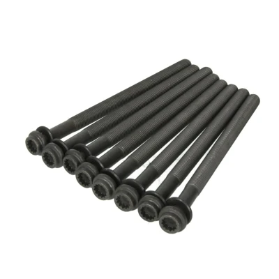 Immagine di REINZ 14 32324 01 Kit Bulloni Testata Poligonale incassata AUDI: Q5, A5 B8 Sportback, A4 Avant, PORSCHE: Cayenne