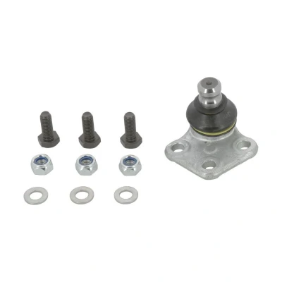 Immagine di MOOG RE BJ 7432 Testina braccio oscillante Dx, inferiore, Assale anteriore 20 56 RENAULT: Kangoo II Express