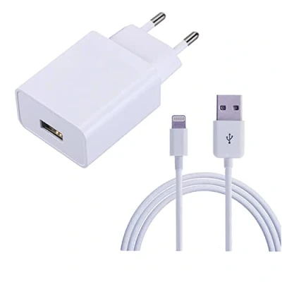 Immagine di ZLONXUN Caricabatterie Caricatore 12W e Cavo compatibile con iPad Air 3/2/1, mini 5/4/3/2,iPad 5/6/7, Pro 9,7&quot;/10,5&quot;/12.9&quot;(1 Gen/2 Gen), iPhone 7 8 6s XS XR