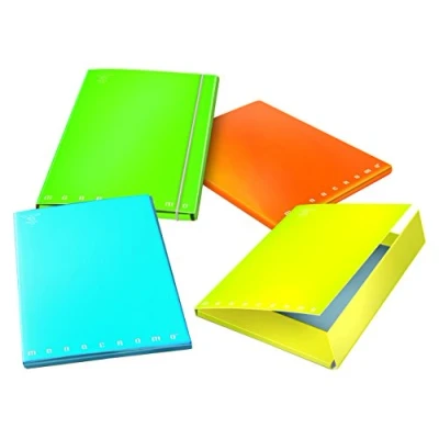 Immagine di Pigna 02279033L Cartella 3 Lembi A4 con Elastico Dorso
