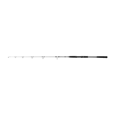 Immagine di Canna da pesca in mare Mitchell Tanager SW Jig 1.60m (100 250g) per