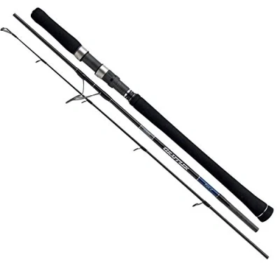 Immagine di Rod 20Game Type Jigging Spin