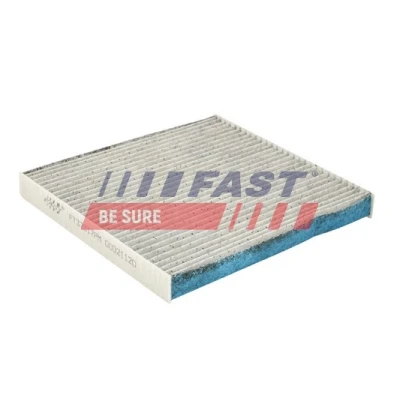 Immagine di FAST FT37317PM Filtro abitacolo particellare 235 250 25 FIAT: Ducato III Van, Camion pianale / Telaio, Bus