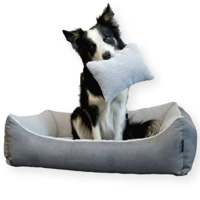 Immagine di 4L Textil Teo Cuccia Gatto per Gatti Cuscino Divano Letto Cani di taglia piccola Cuccioli (60x40 cm, Grafite)