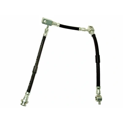Immagine di DELPHI LH6413 Tubi Freno M10x1 Int SF
