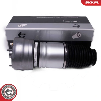 Immagine di ESEN SKV 58SKV080 Gamba elastica con ammortiz. pneumatico anteriore Dx