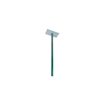 Immagine di Burg Wächter 711 VE Accessorio Cassetta delle Lettere, Verde, Norme