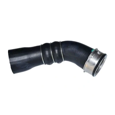 Immagine di BUGIAD 81673 Manicotto Turbina ACM (Poliacrilico Caucciù) con morsetto BMW: 1 Hatchback