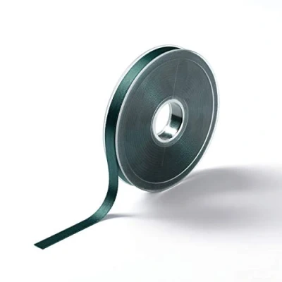 Immagine di Prym Nastro di Raso 10 mm Abete, 100% PES