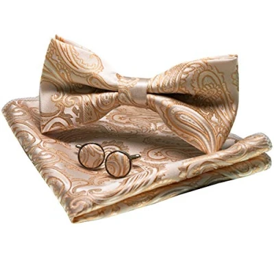 Immagine di JEMYGINS Papillon Uomo Rosso scuro2 Paisley Design Regolabile in Diversi Colori Partito cena di gala con Fazzoletto e Gemelli